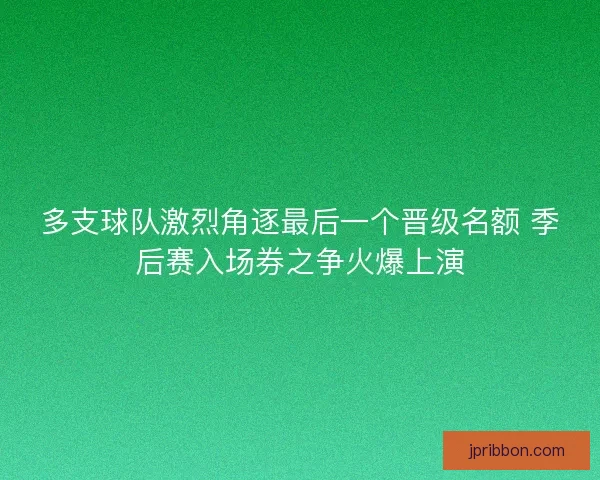 多支球队激烈角逐最后一个晋级名额 季后赛入场券之争火爆上演